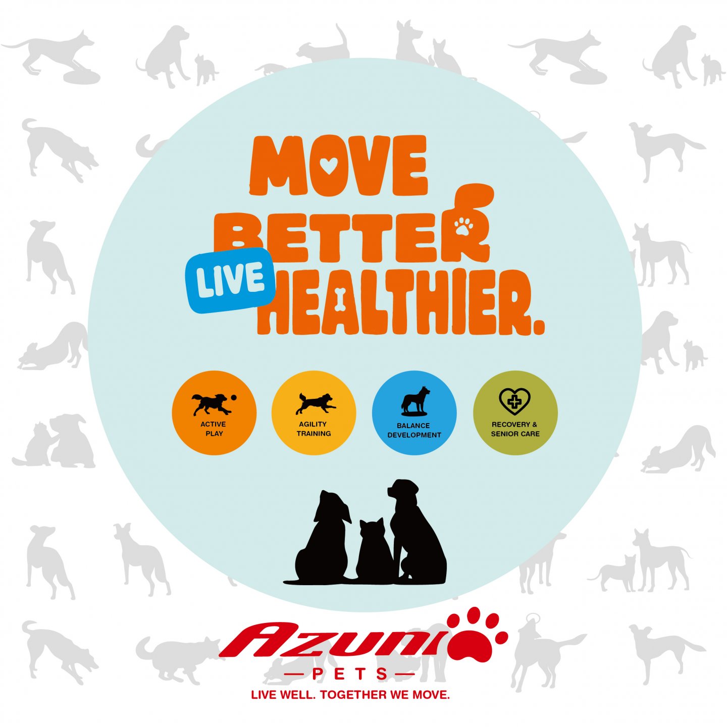 AZUNI PETS