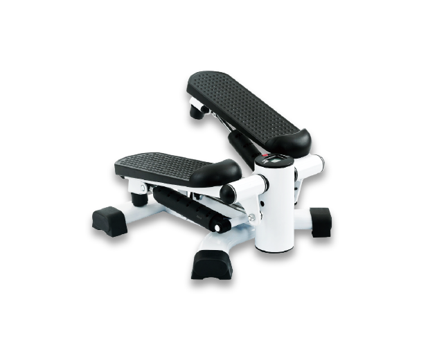 ASS002 2 in 1 Mini Stepper